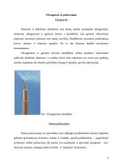 Ultragarso panaudojimas odontologijoje 8 puslapis