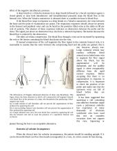Ultrasound flow detection 3 puslapis