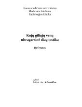 Ultrasound flow detection 8 puslapis