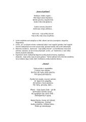 Apie Salomėją Nerį 2 puslapis