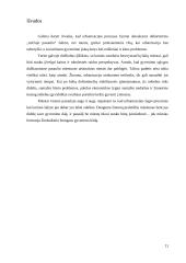 Urbanizacijos samprata 11 puslapis