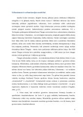 Urbanizacijos samprata 6 puslapis