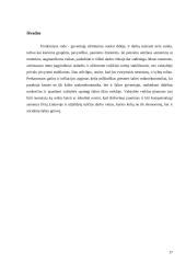 Užimtumo ir nedarbo regioniniai skirtumai 17 puslapis