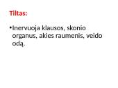 CNS nervų sistema 13 puslapis