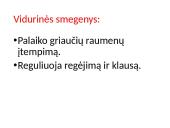 CNS nervų sistema 16 puslapis