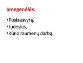 CNS nervų sistema 20 puslapis