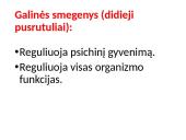 CNS nervų sistema 10 puslapis