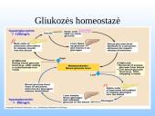 Kasa - gamina virškinimo fermentus. 3 puslapis