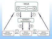 Kasa - gamina virškinimo fermentus. 4 puslapis