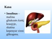 Kasa - gamina virškinimo fermentus. 5 puslapis