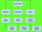Nervai, sinapsė  3 puslapis