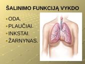 Šalinimo funkcijos ir organai 2 puslapis