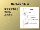 Šalinimo funkcijos ir organai 11 puslapis