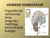 Šalinimo funkcijos ir organai 15 puslapis