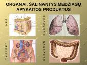 Šalinimo funkcijos ir organai 3 puslapis