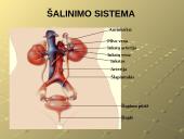 Šalinimo funkcijos ir organai 4 puslapis