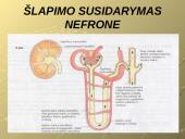 Šalinimo funkcijos ir organai 8 puslapis
