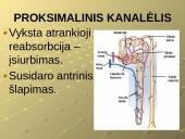 Šalinimo funkcijos ir organai 10 puslapis