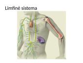Vidinė organizmo terpė 4 puslapis