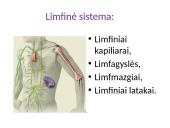 Vidinė organizmo terpė 6 puslapis
