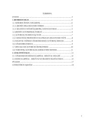 Užsakomojo reiso analizė: Klaipėda–Molėtai 2 puslapis