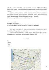 Užsakomojo reiso analizė: Klaipėda–Molėtai 11 puslapis