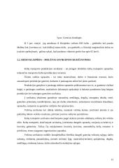 Užsakomojo reiso analizė: Klaipėda–Molėtai 12 puslapis