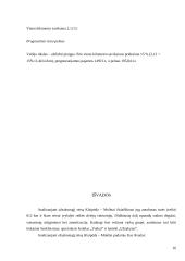 Užsakomojo reiso analizė: Klaipėda–Molėtai 16 puslapis