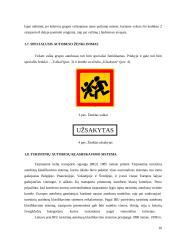 Užsakomojo reiso analizė: Klaipėda–Molėtai 10 puslapis