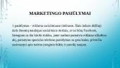Tele2 rinkos segmentavimas  13 puslapis