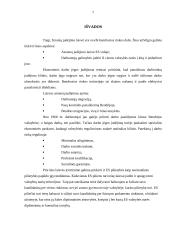 Laisvas asmenų judėjimas ir teisė apsigyventi valstybėse narėse 7 puslapis