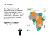 Afrika: kokią partnerystę kuriame su jos šalimis? 3 puslapis