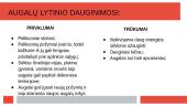 Lytinis ir nelytinis dauginimaisi 6 puslapis