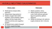 Lytinis ir nelytinis dauginimaisi 7 puslapis