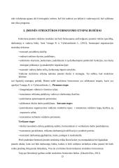 Efektyvi įmonės struktūra 13 puslapis