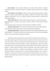 Efektyvi įmonės struktūra 14 puslapis