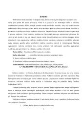Efektyvi įmonės struktūra 3 puslapis