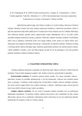 Efektyvi įmonės struktūra 6 puslapis