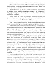 Užsienio šalių mokesčiai 13 puslapis