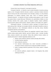 Užsienio šalių mokesčiai 4 puslapis