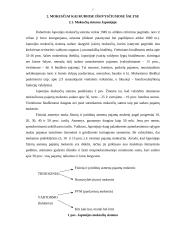 Užsienio šalių mokesčiai 7 puslapis