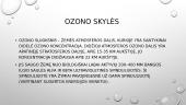 Oro tarša: šiltnamio efektas, rūgštieji krituliai ir ozono skylės 10 puslapis