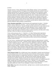 Politinės kultūros bruožai LT 3 puslapis