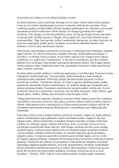 Politinės kultūros bruožai LT 6 puslapis