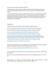 Politinės kultūros bruožai LT 8 puslapis