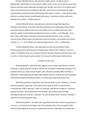 Genetika – biologijos mokslo šaka 3 puslapis