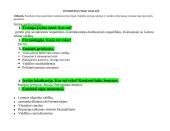 Spalio perversmas Rusijoje 1917 m. 2 puslapis