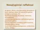 Nervinis organizmo valdymas 19 puslapis