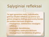 Nervinis organizmo valdymas 20 puslapis