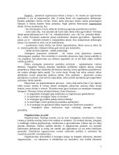 Vadybos funkcijų savarankiškas darbas 7 puslapis